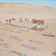 Artist’s depiction of a burial at an Amarna cemetery.